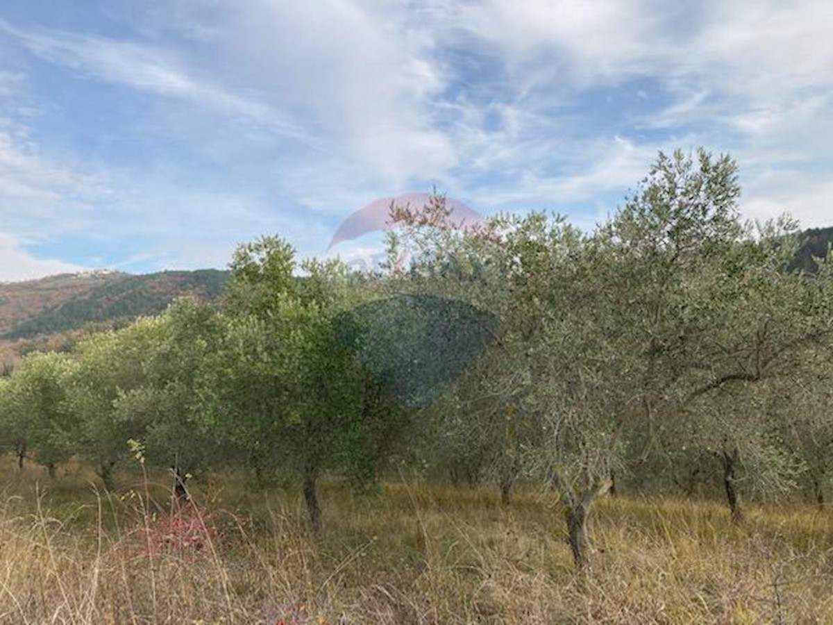 Land For sale GRIMALDA