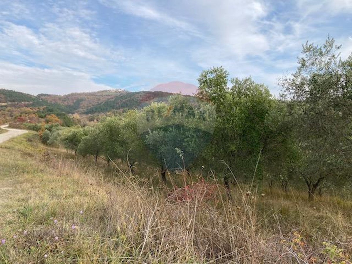 Terreno In vendita - ISTARSKA  CEROVLJE 