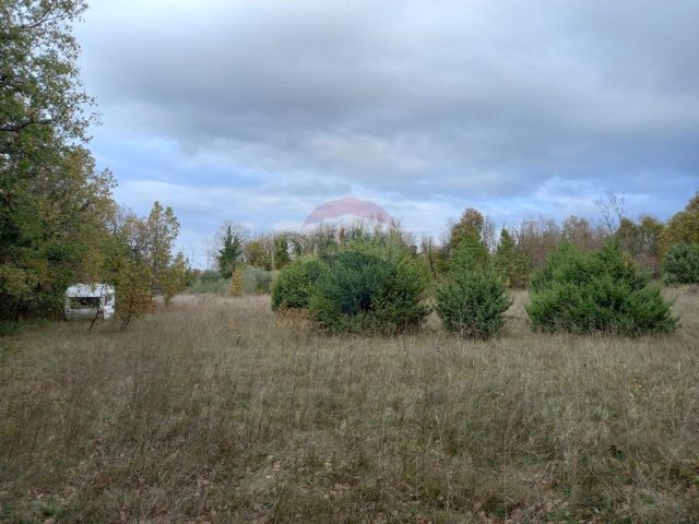 Parcela na predaj 6736 m² – Krnica