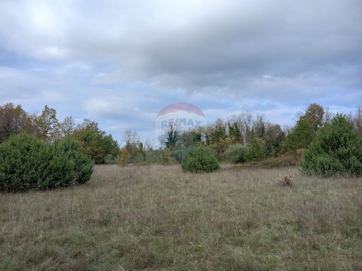 Działka Na sprzedaż - ISTARSKA  MARČANA 