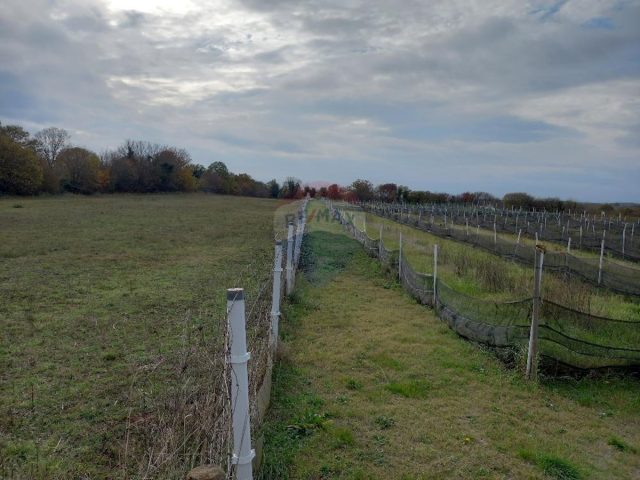 Pozemek na prodej 5460 m² – Krnica