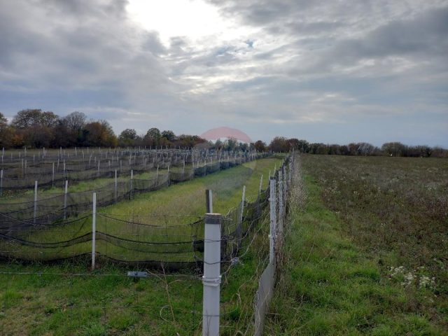 Działka Na sprzedaż - Istarska Marčana - foto 5/6