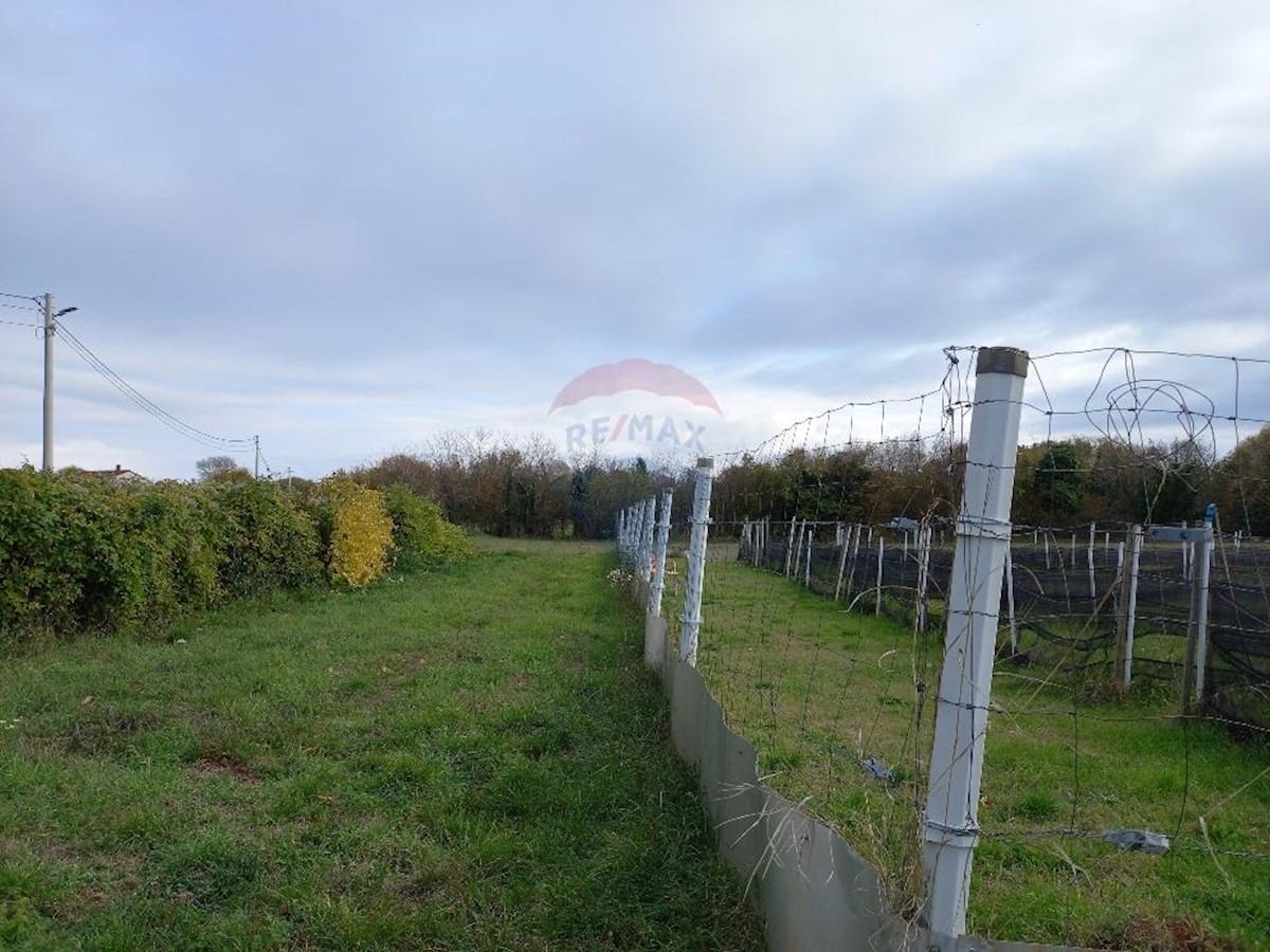 Land For sale - ISTARSKA  MARČANA 