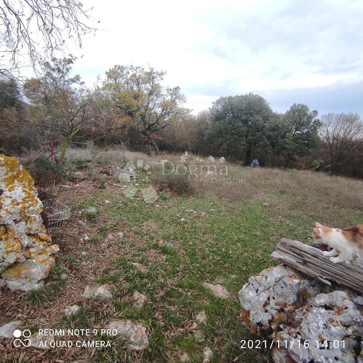 Land For sale - ISTARSKA  RAŠA 