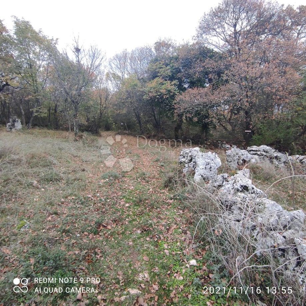 Land For sale - ISTARSKA  RAŠA 