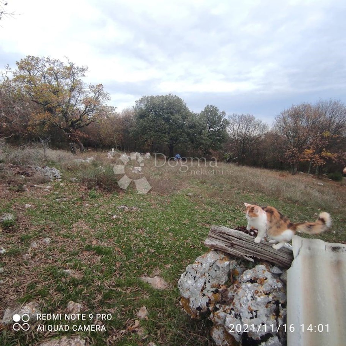 Land For sale - ISTARSKA  RAŠA 