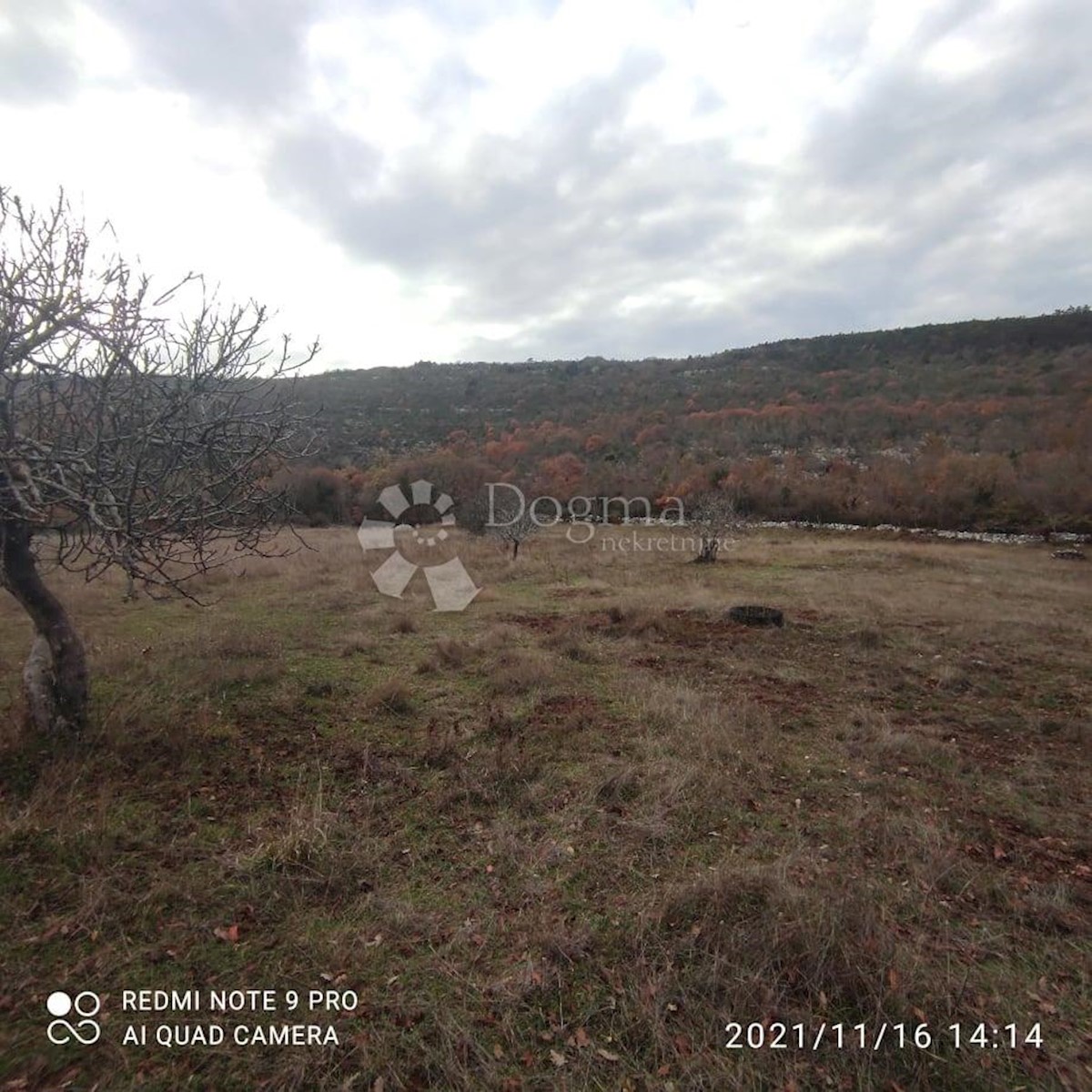 Land For sale - ISTARSKA  RAŠA 