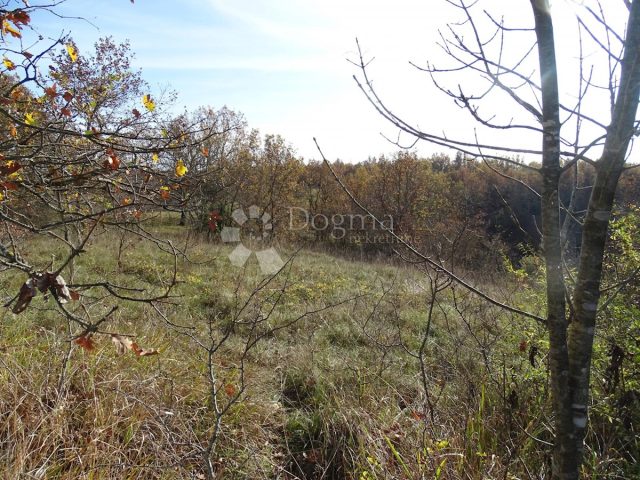 Zemljište na prodaju 3500 m² – Završje