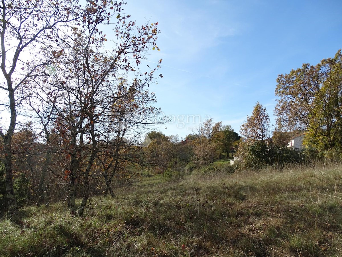 Land For sale - ISTARSKA  GROŽNJAN 