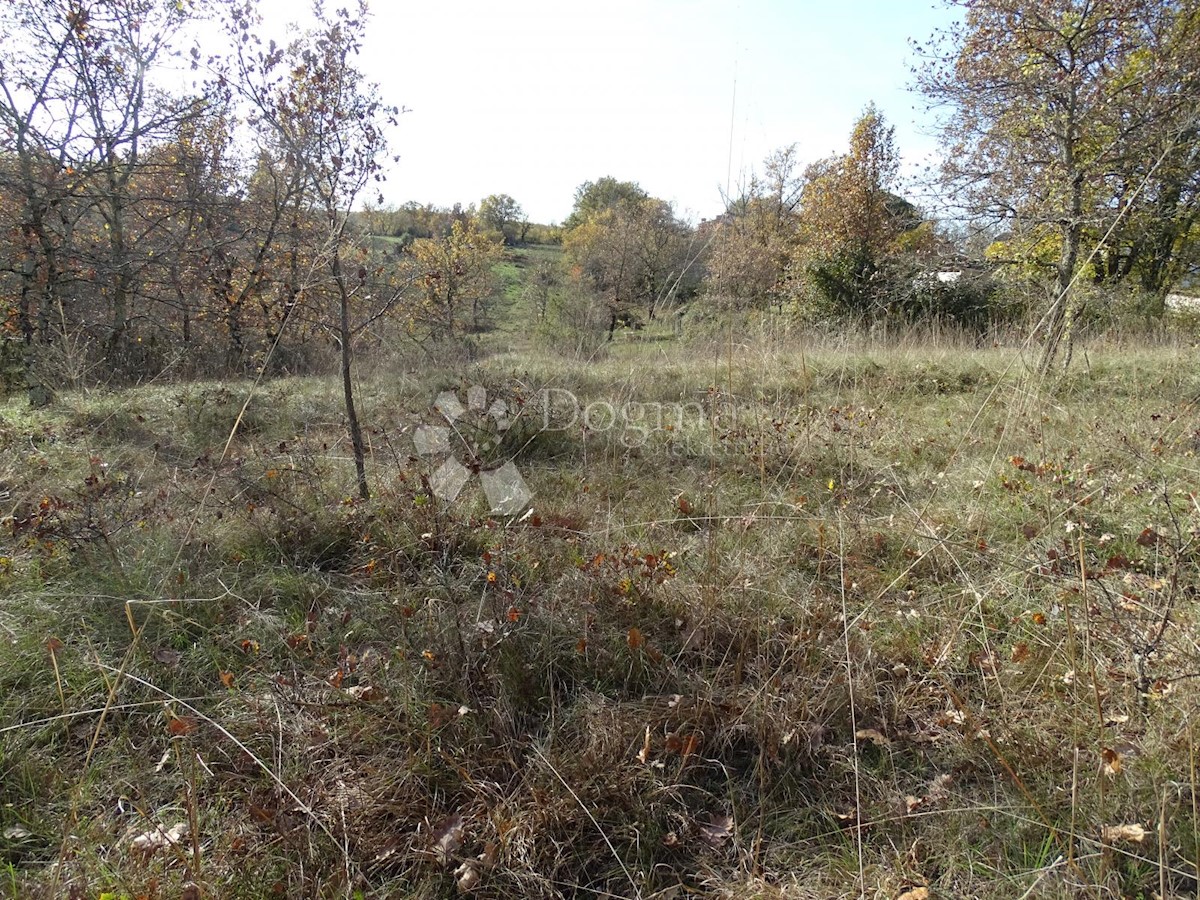 Land For sale - ISTARSKA  GROŽNJAN 