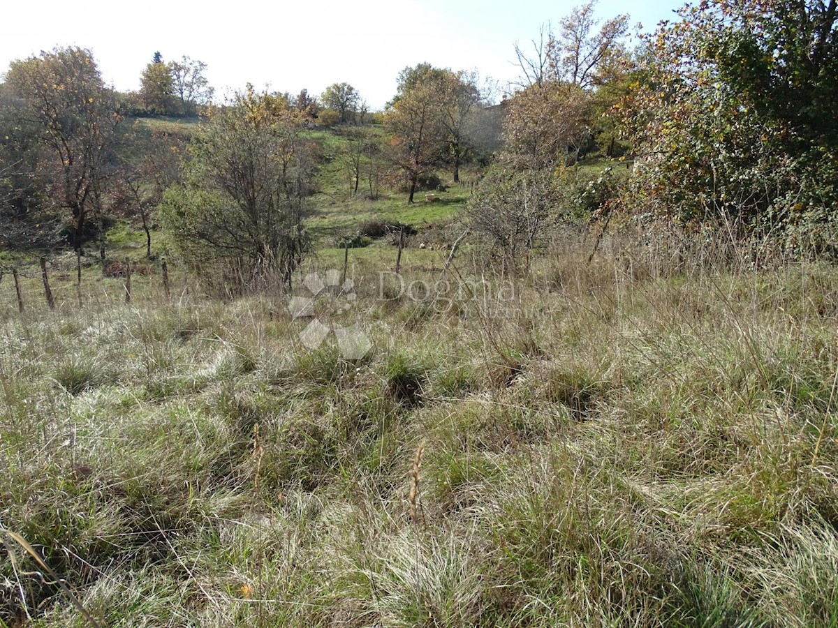 Land For sale - ISTARSKA  GROŽNJAN 