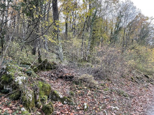 Parcela Naprodaj - Primorsko-goranska Matulji - foto 3/3