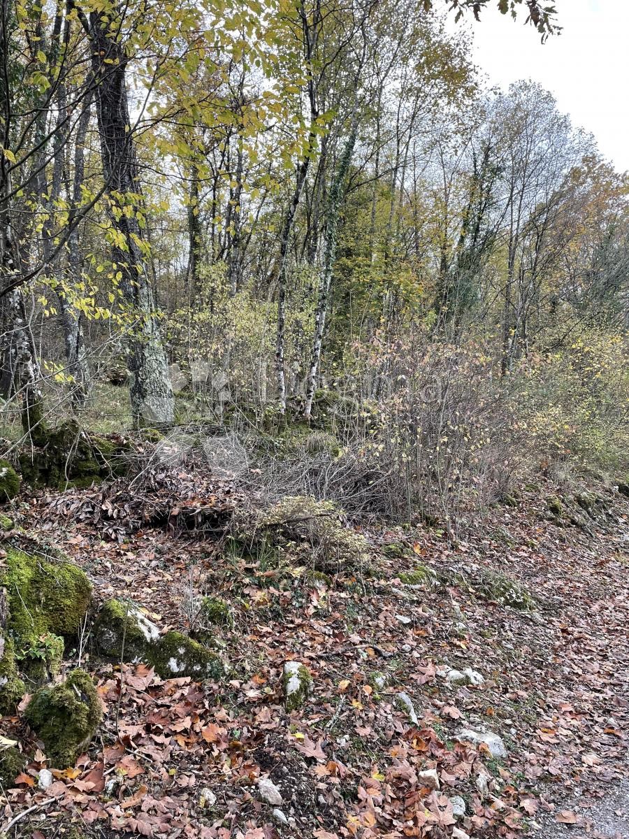 Grundstück Zu verkaufen - Primorsko-goranska Matulji - foto 2/2