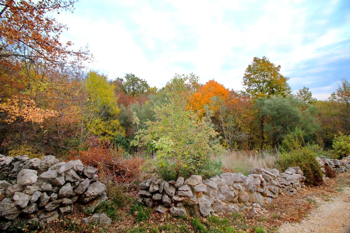 Zemljište Na prodaju VRBNIK