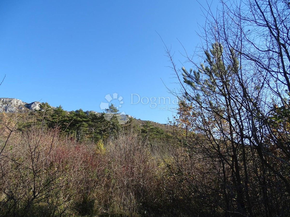 Land For sale - ISTARSKA  BUZET 