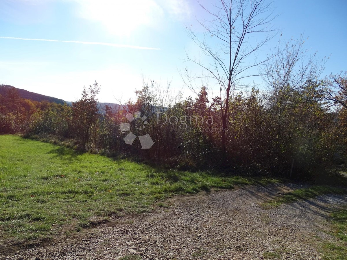Land For sale - ISTARSKA  BUZET 