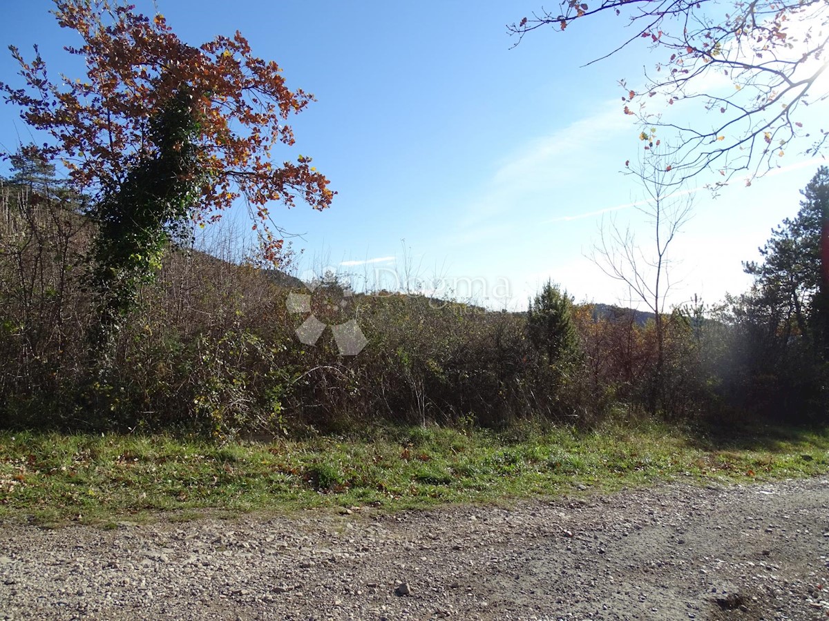Land For sale - ISTARSKA  BUZET 