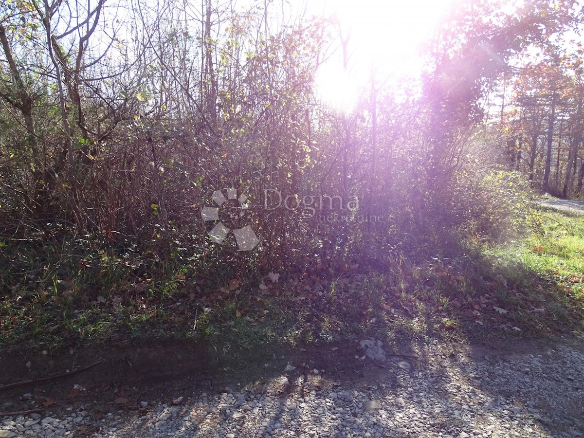 Land For sale - ISTARSKA  BUZET 