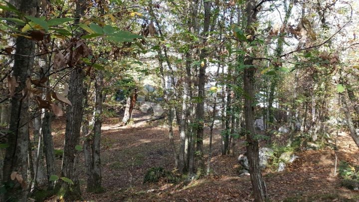 Land for sale 4000 m² – Oprič