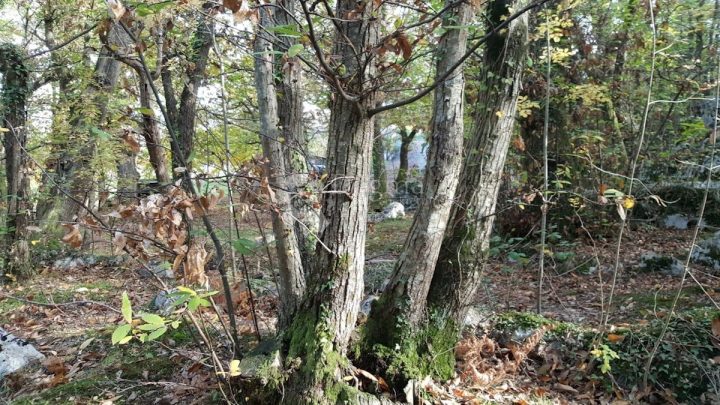 Grundstück Zu verkaufen - Primorsko-goranska Opatija - foto 3/9
