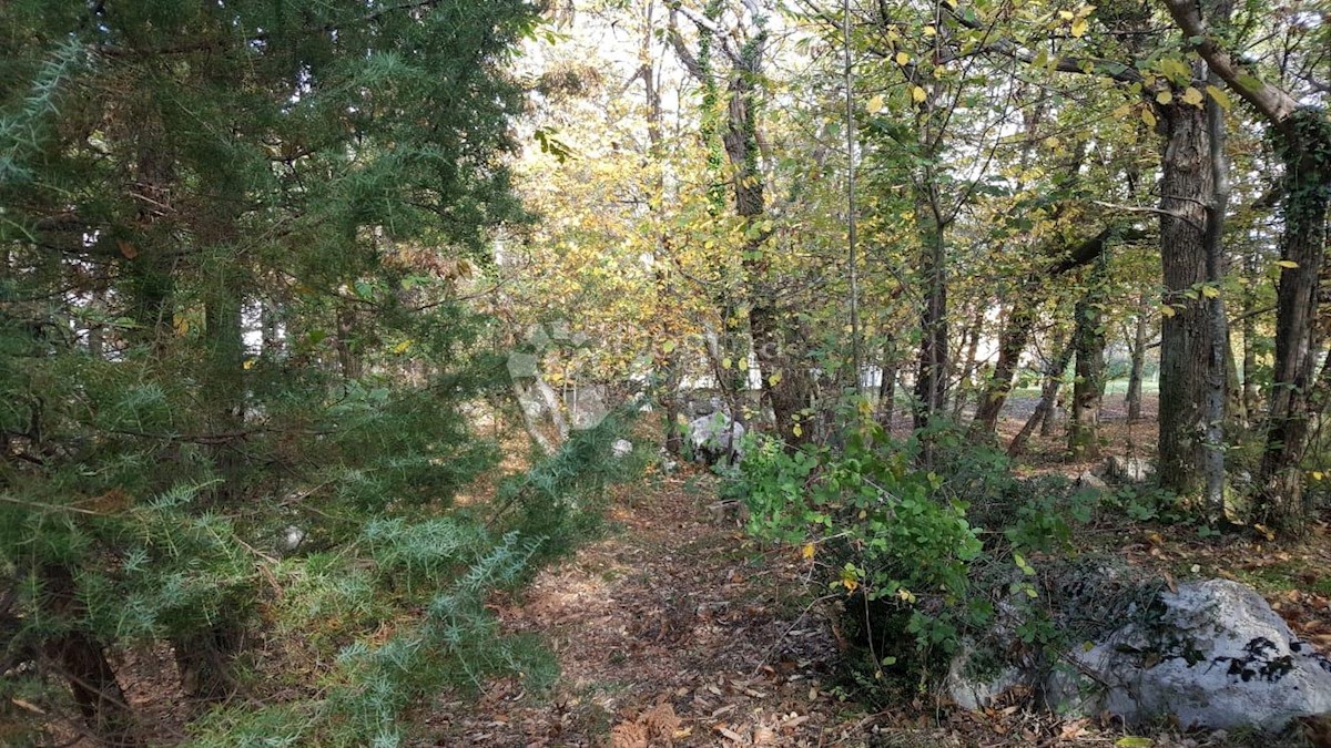 Land For sale - PRIMORSKO-GORANSKA  OPATIJA 