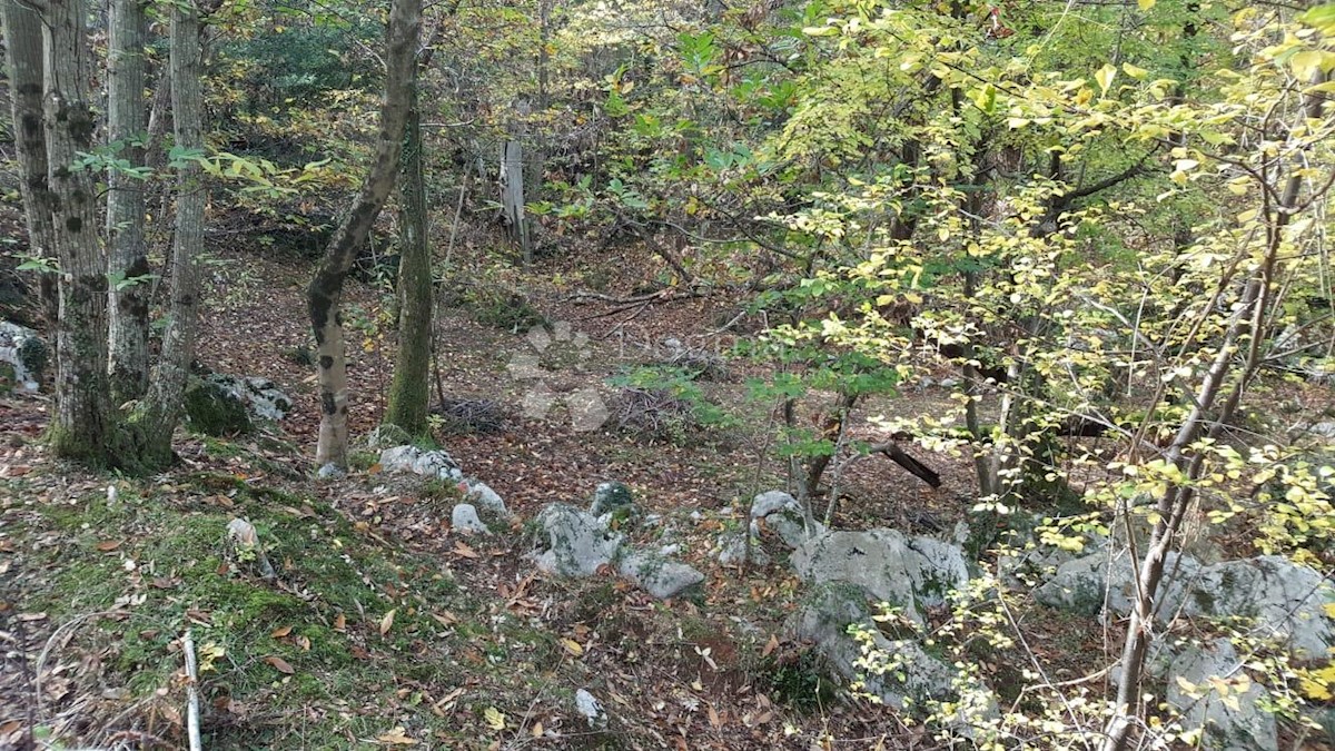 Land For sale - PRIMORSKO-GORANSKA  OPATIJA 