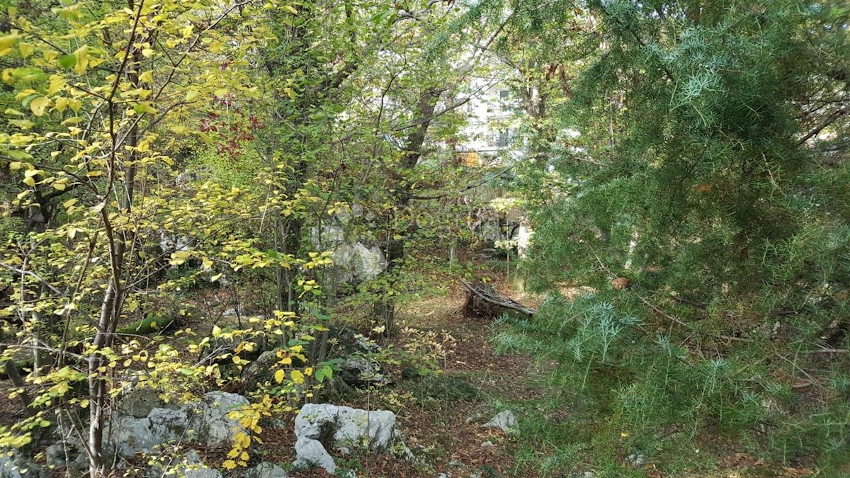 Land For sale - PRIMORSKO-GORANSKA  OPATIJA 