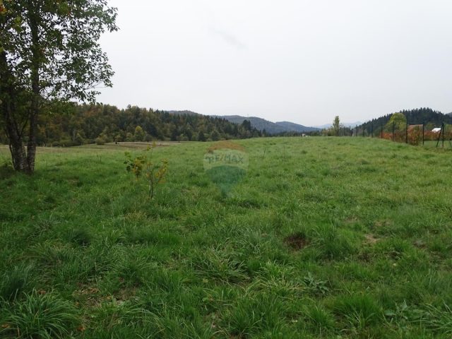 Hiša Naprodaj - Primorsko-goranska Mrkopalj - foto 4/15