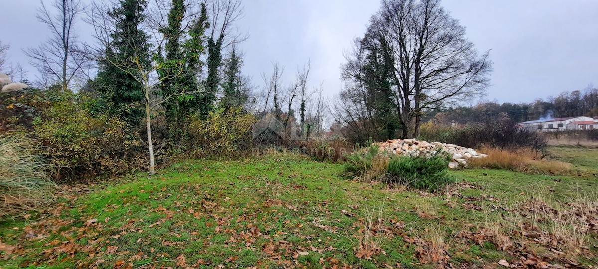 Terreno In vendita - ISTARSKA  ŽMINJ 