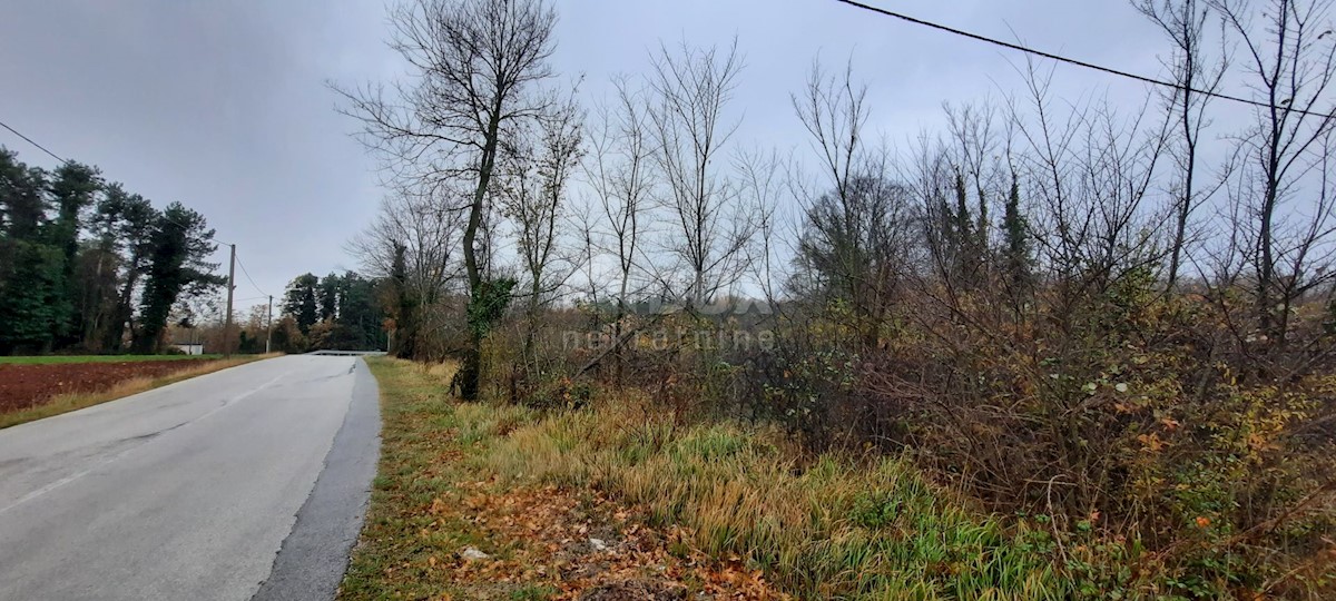 Terreno In vendita - ISTARSKA  ŽMINJ 