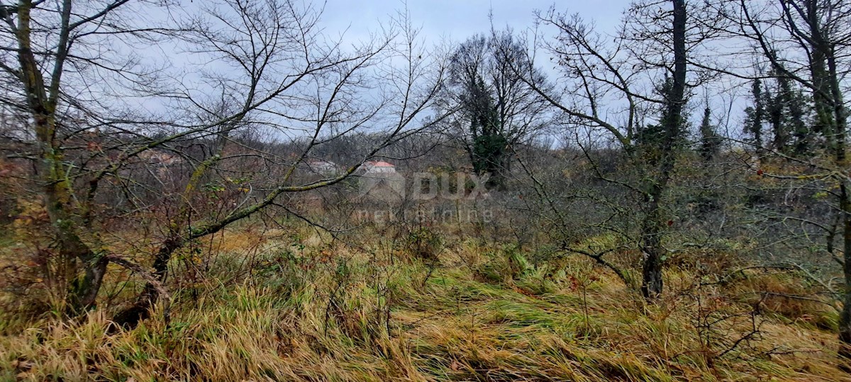 Terreno In vendita - ISTARSKA  ŽMINJ 