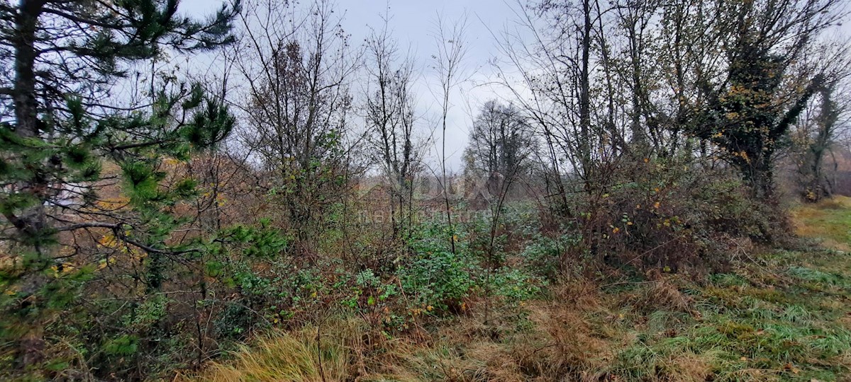 Terreno In vendita - ISTARSKA  ŽMINJ 