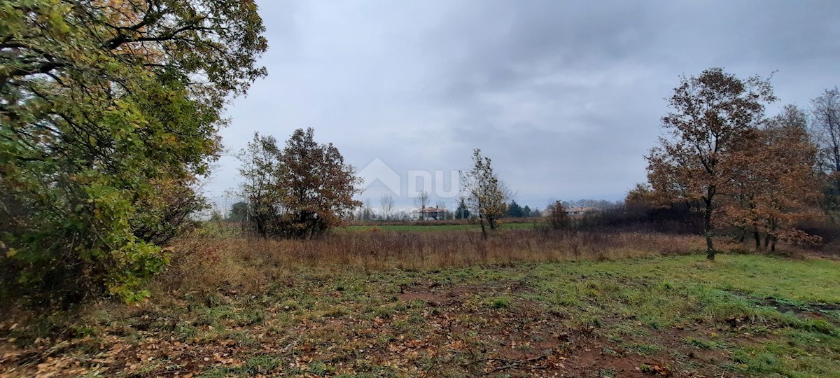 Terreno In vendita - ISTARSKA  ŽMINJ 