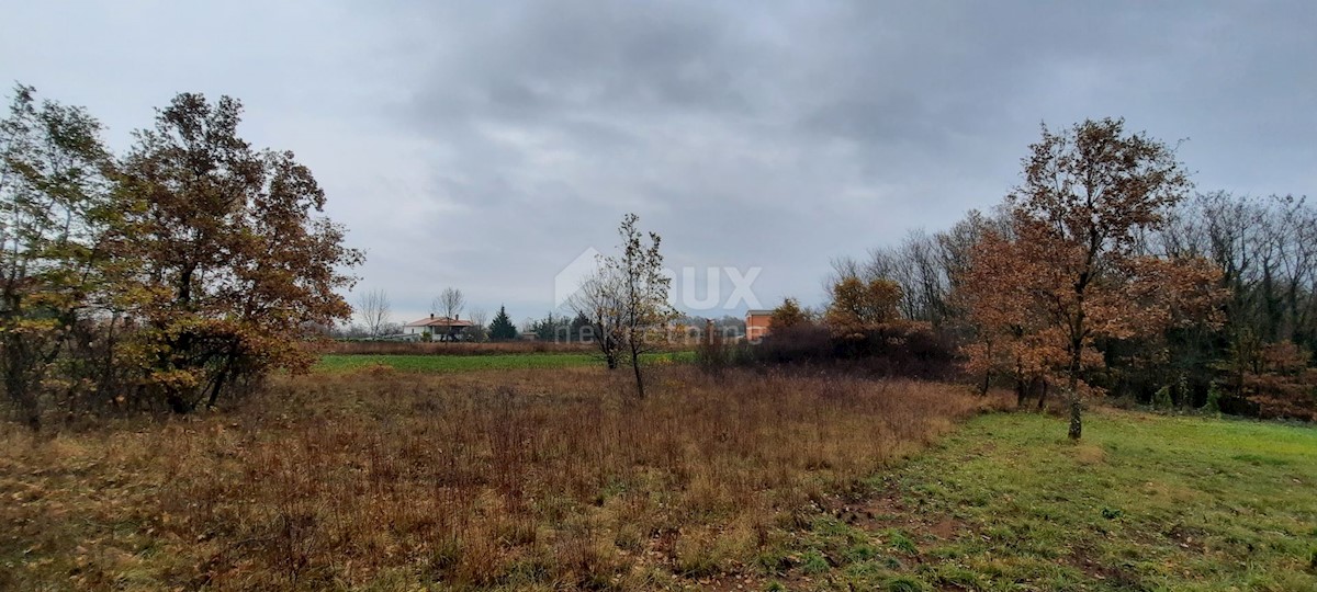 Terreno In vendita - ISTARSKA  ŽMINJ 