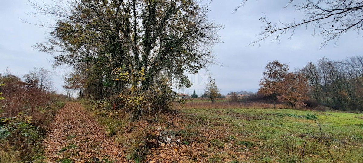 Terreno In vendita - ISTARSKA  ŽMINJ 