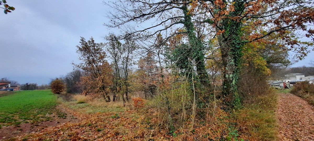 Terreno In vendita - ISTARSKA  ŽMINJ 