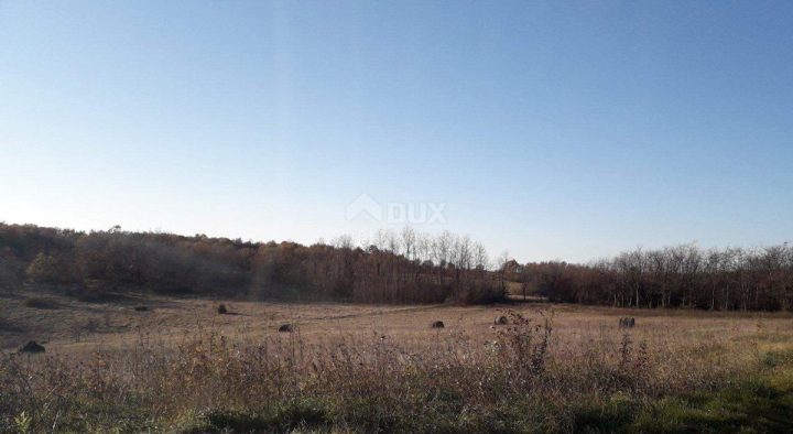 Land for sale 13245 m² – Višnjan