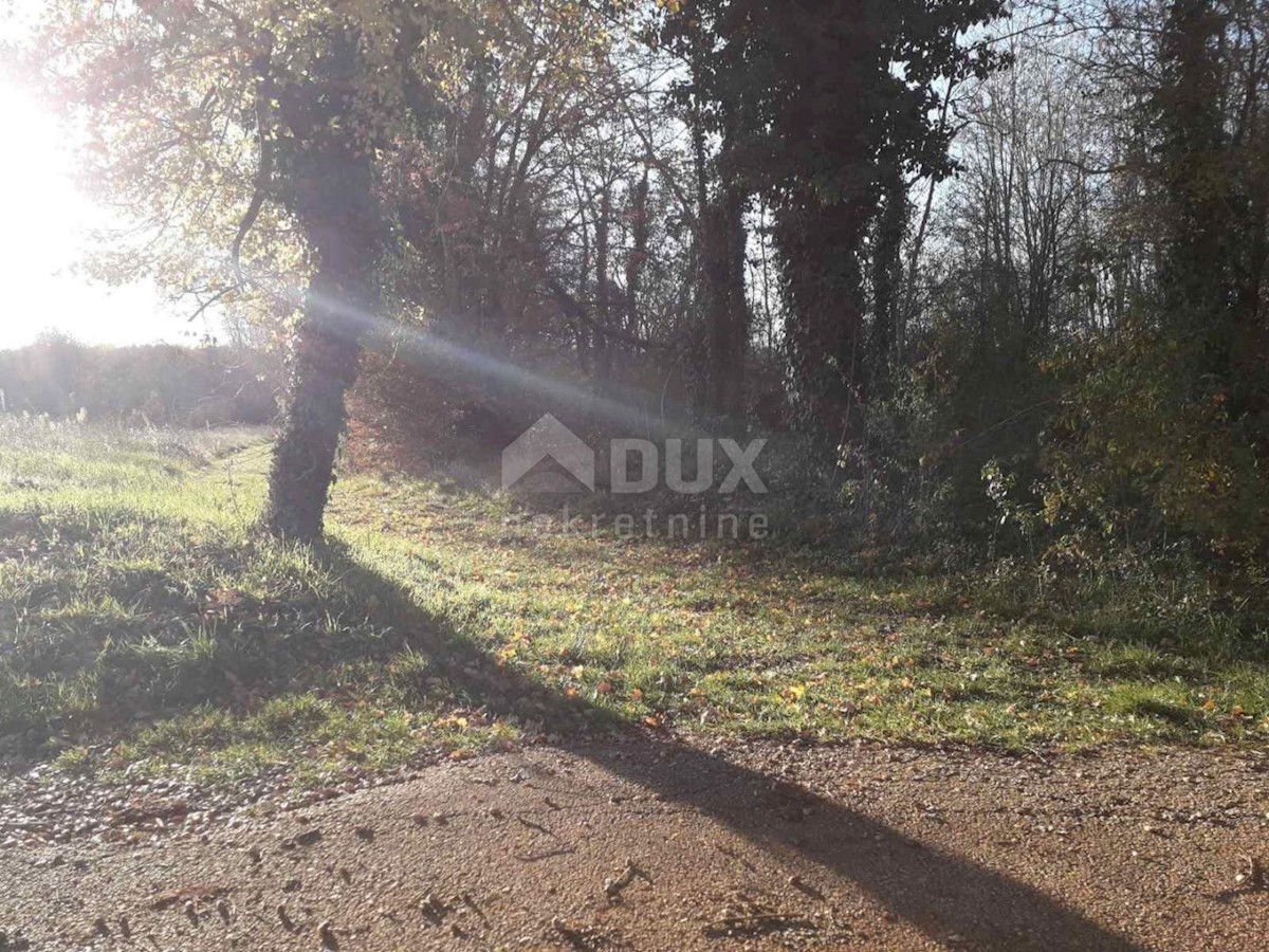 Land For sale - ISTARSKA  Višnjan