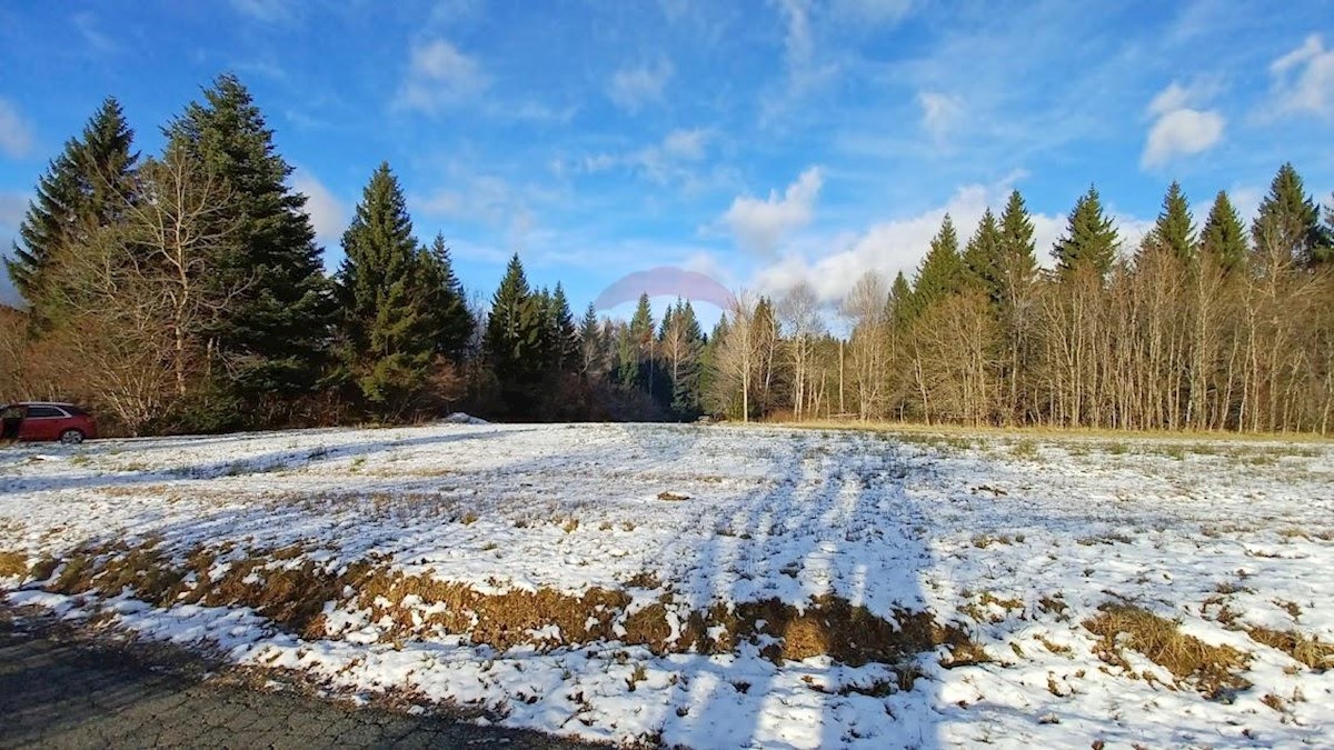 Land For sale - PRIMORSKO-GORANSKA  RAVNA GORA 