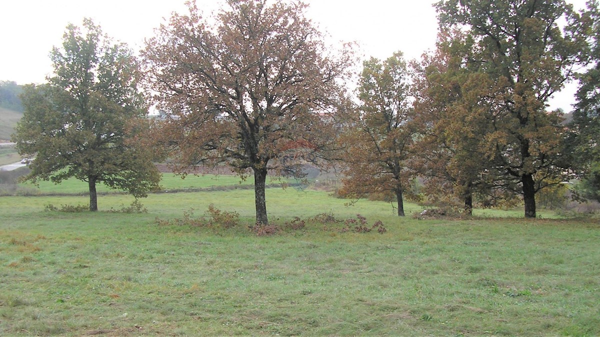 Działka Na sprzedaż - ISTARSKA  PAZIN 