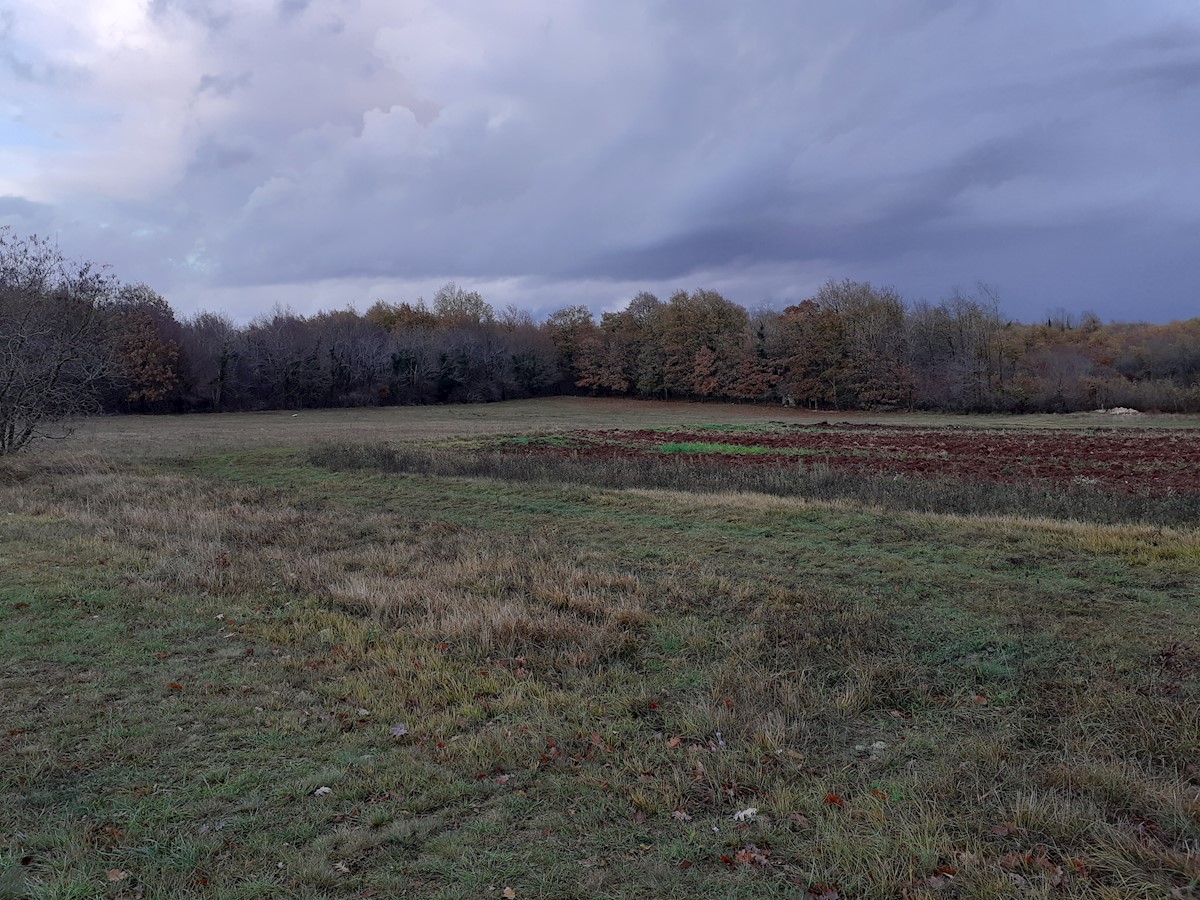 Pozemek Na prodej - ISTARSKA  ŽMINJ 