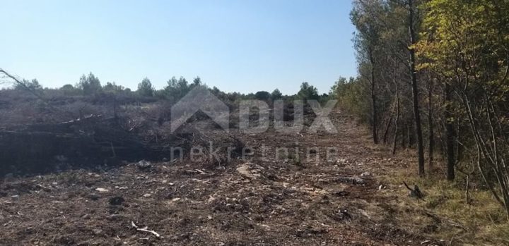 Terreno In vendita - Zadarska Novigrad - foto 4/6