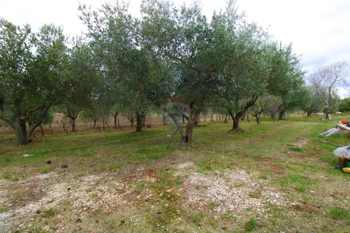 House For sale - Istarska Rovinj - foto 3/6
