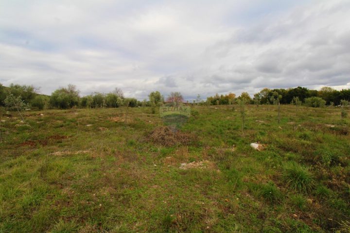 House For sale - Istarska Rovinj - foto 4/6