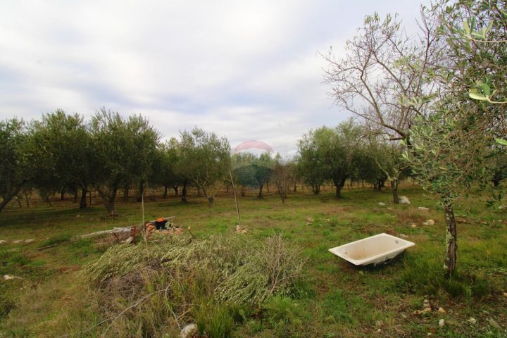 House For sale - Istarska Rovinj - foto 5/6