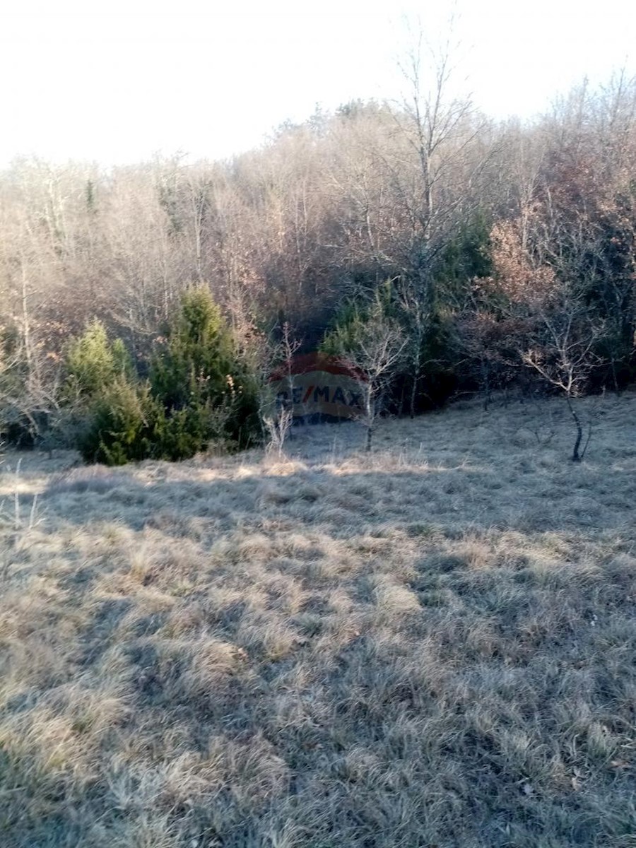 Land For sale - ISTARSKA  ŽMINJ 