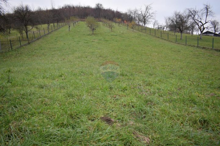 Land for sale 1712 m² – Molvice