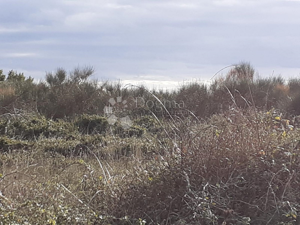 Terreno In vendita - ISTARSKA  LIŽNJAN 