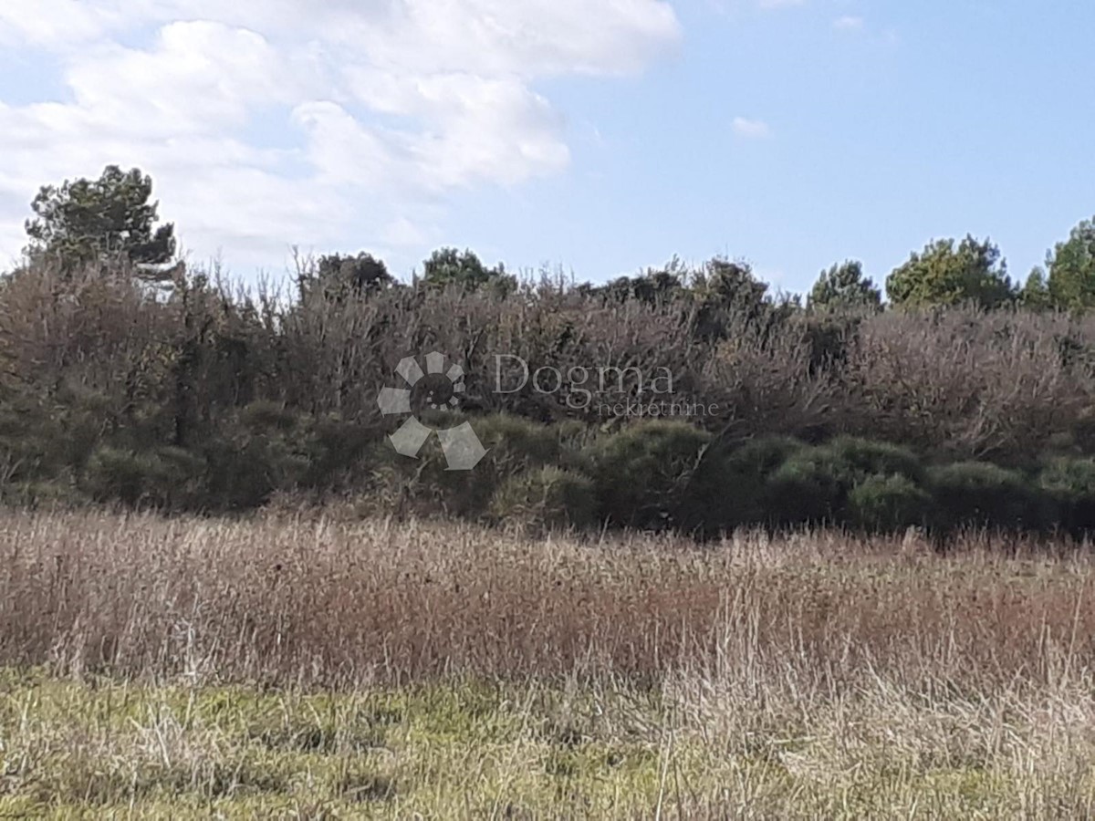 Terreno In vendita - ISTARSKA  LIŽNJAN 