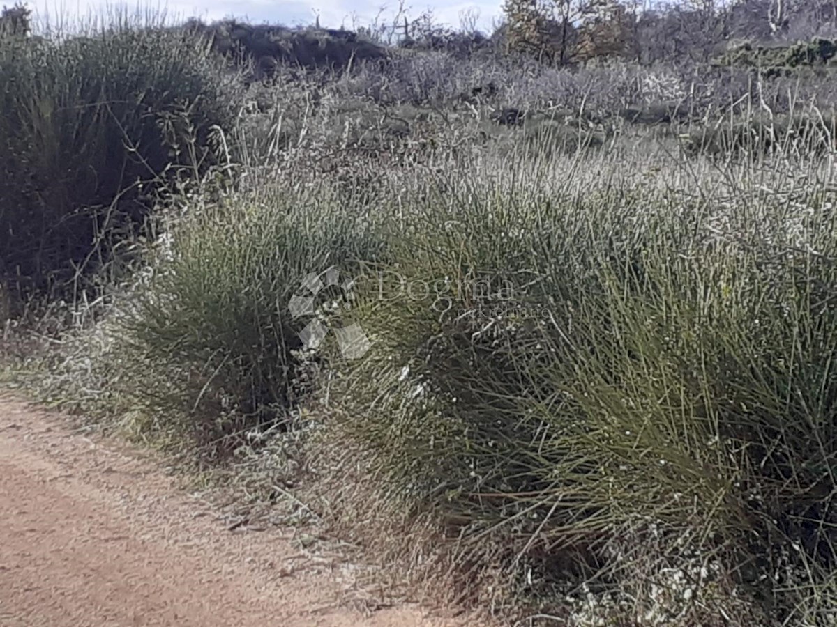 Terreno In vendita - ISTARSKA  LIŽNJAN 